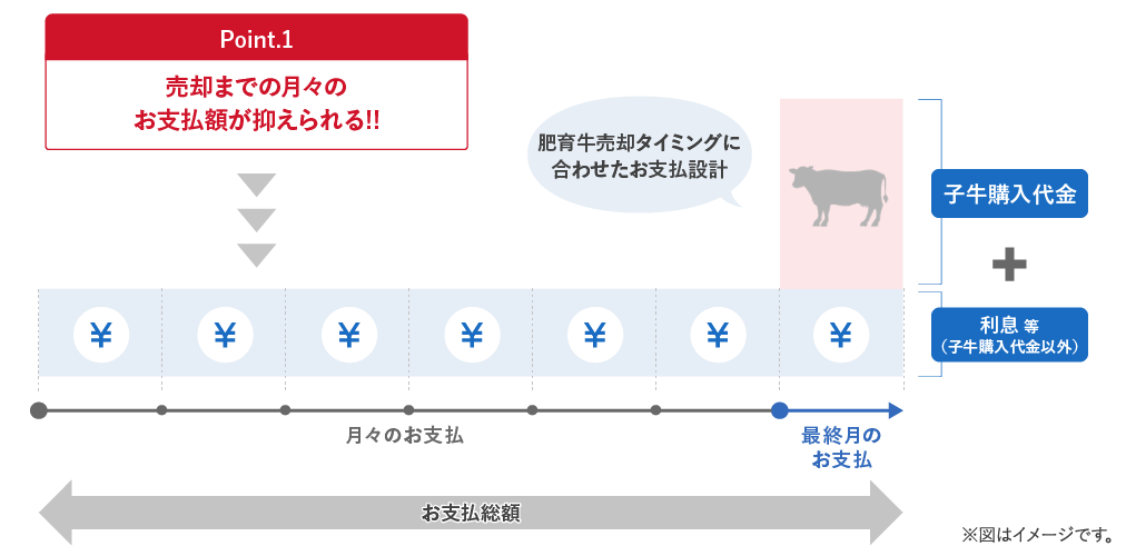 お支払総額イメージを表した画像。肥育牛売却タイミングに合わせたお支払設計です。