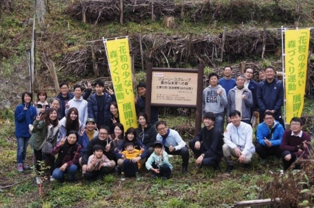 Photographs of forest maintenance